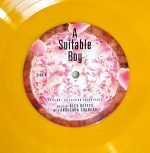 A SUITABLE BOY-VINYL LP RECORD-Numbered Limited Edition vinyl record cover - buy online India