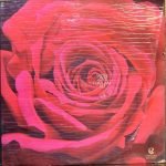 GHULAM ALI-WITH LOVE-VINYL LP vinyl record cover - buy online India