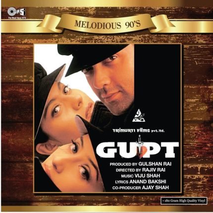 GUPT-VINYL LP vinyl record cover - buy online India