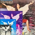 KARZ-VINYL LP vinyl record cover - buy online India