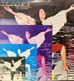 KARZ-VINYL LP vinyl record cover - buy online India