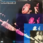 KARZ-VINYL LP vinyl record cover - buy online India
