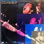 KARZ-VINYL LP vinyl record cover - buy online India