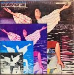 KARZ-VINYL LP vinyl record cover - buy online India