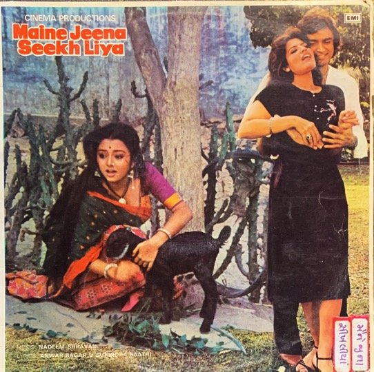 MAINE JEENA SEEKH LIYA VINYL LP vinyl record cover - buy online India