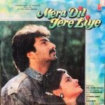 DIL-VINYL LP RECORD vinyl record cover - buy online India