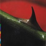 NUSRAT FATEH ALI KHAN & MICHAEL BROOK-NIGHT SONG-RECORD VINYL 2019 EDITION vinyl record cover - buy online India