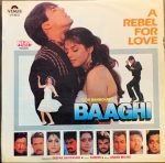 BAAGHI-ANAND MILIND-VINYL LP vinyl record cover - buy online India