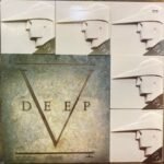 V DEEP-THE BOOMTOWN RATS-VINYL LP - Image 2