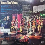 BADE DIL WALA VINYL LP