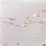 SADDHU BRAND VINYL LP
